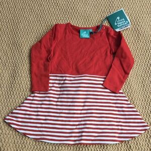 LITTLE GREEN RADICALS Toddler Dress NWT